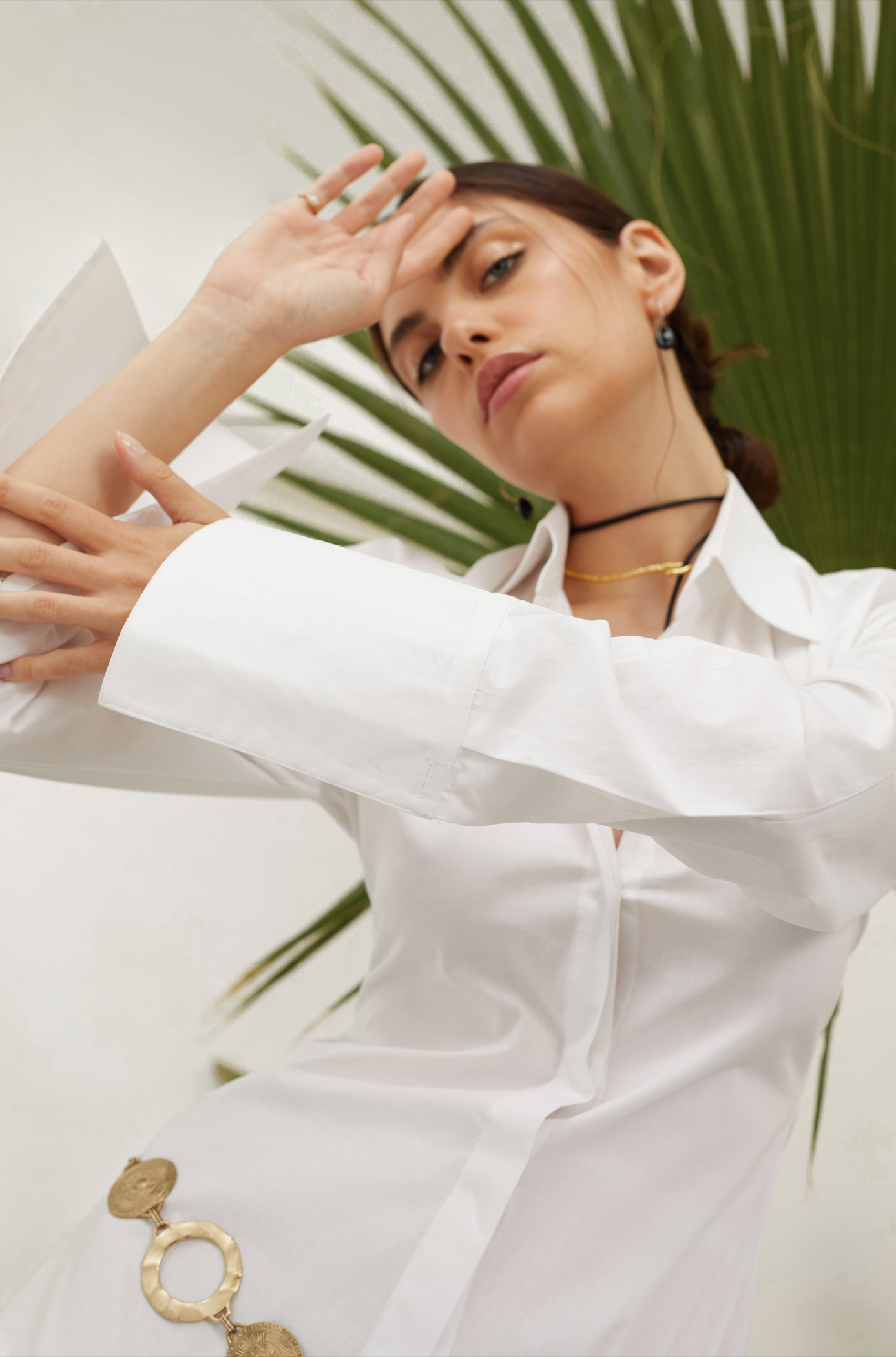 Fitted Poplin Shirt