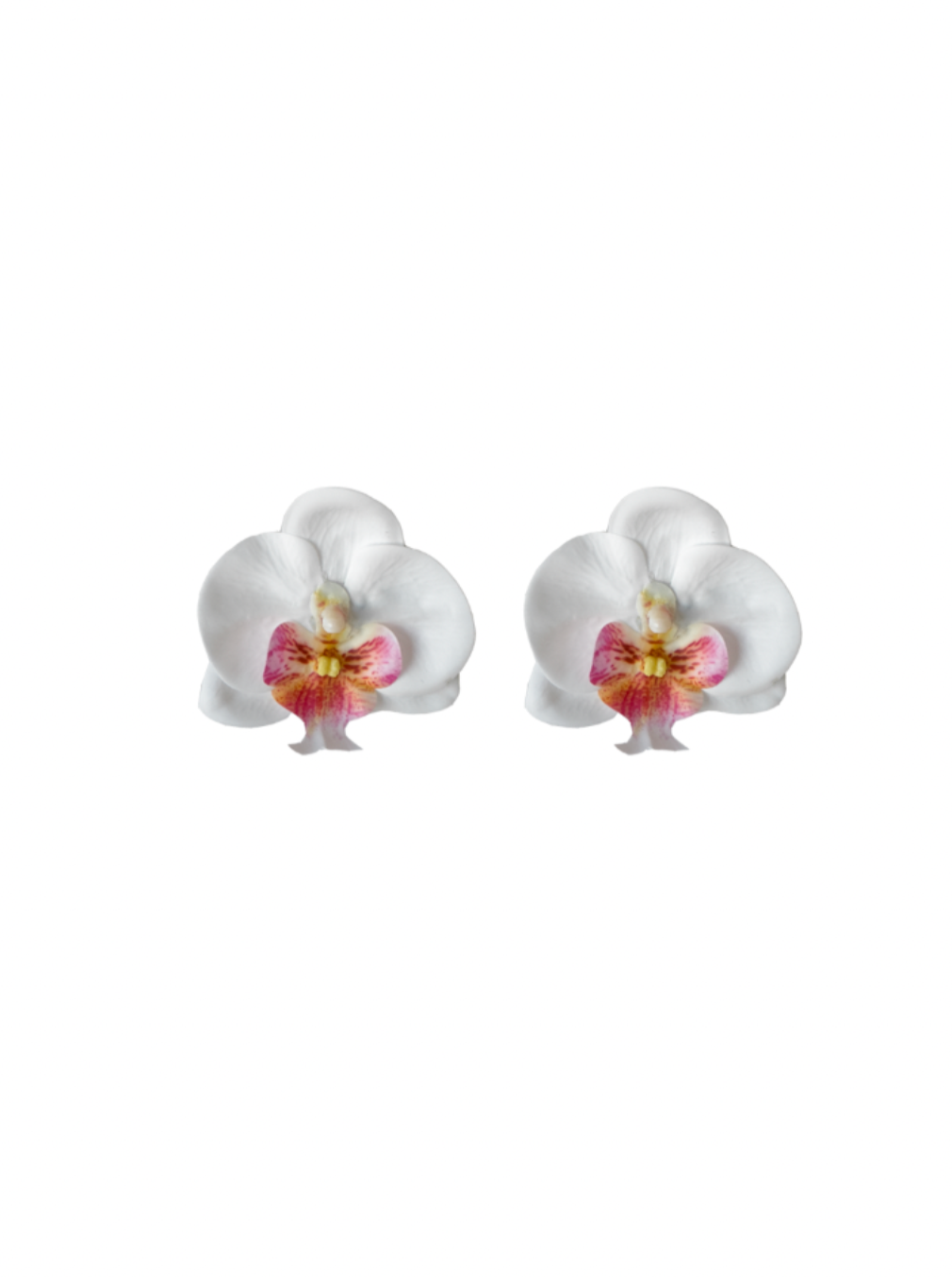 Orchid Flowers