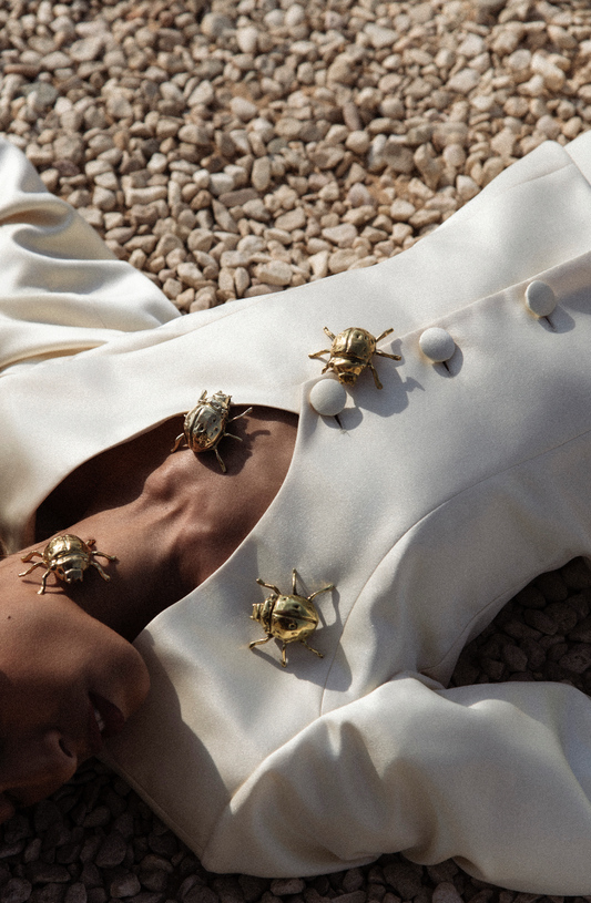 Scarab Brooch