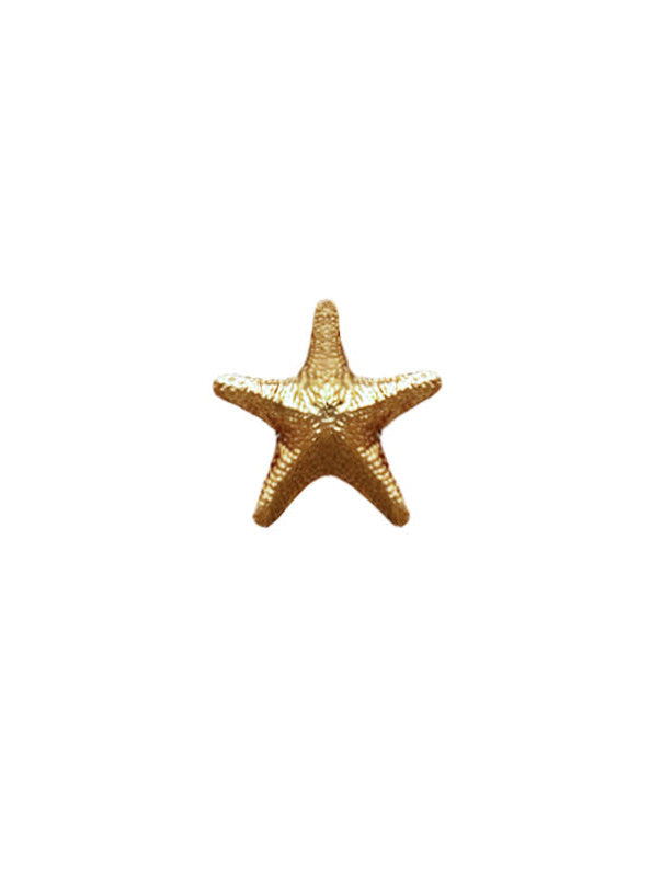 Starfish Brooch