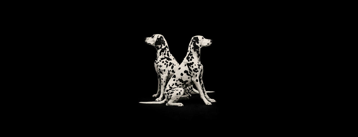 RIGASH – Rigash