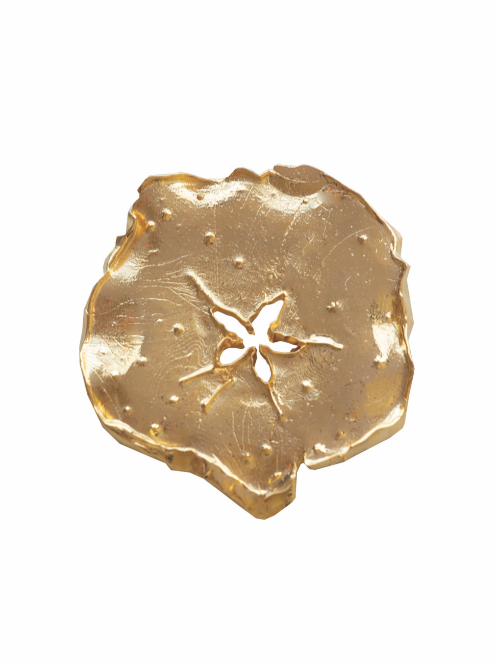 Gold plated brooch designed to resemble a biodegraded apple slice with a fixed safety pin attached.