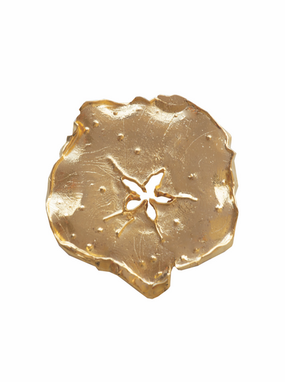 Gold plated brooch designed to resemble a biodegraded apple slice with a fixed safety pin attached.