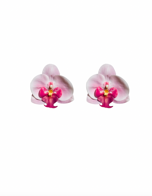 Orchid Flowers
